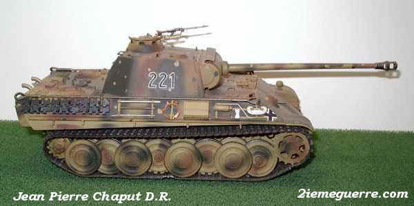 pantherm2a.JPG (62359 octets)